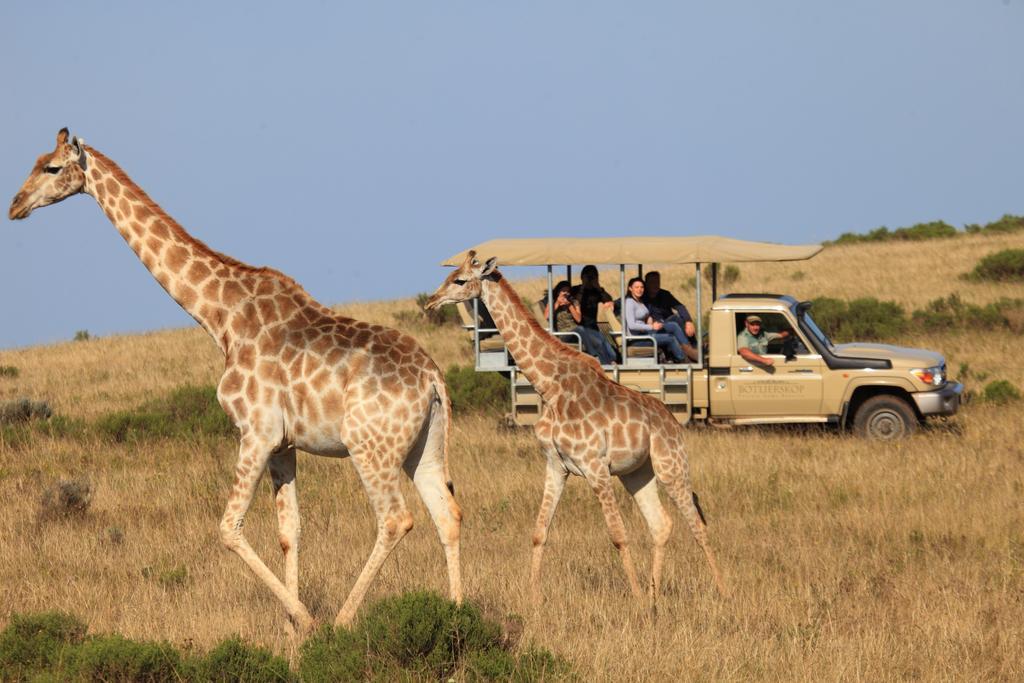 Botlierskop Bush Villas Sandhoogte エクステリア 写真