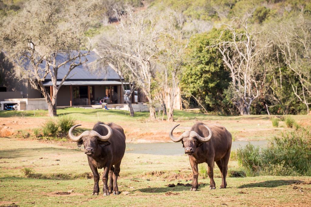 Botlierskop Bush Villas Sandhoogte エクステリア 写真