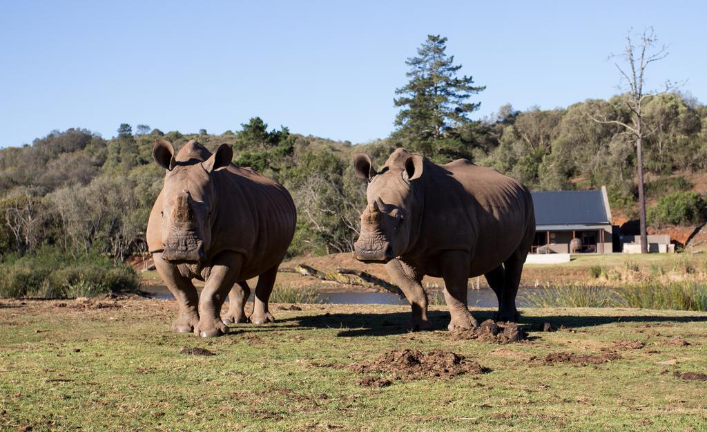 Botlierskop Bush Villas Sandhoogte エクステリア 写真