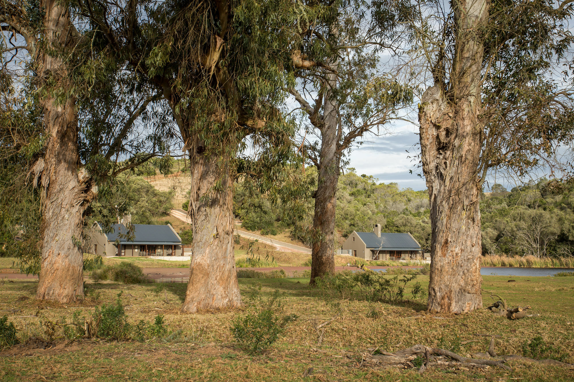 Botlierskop Bush Villas Sandhoogte エクステリア 写真