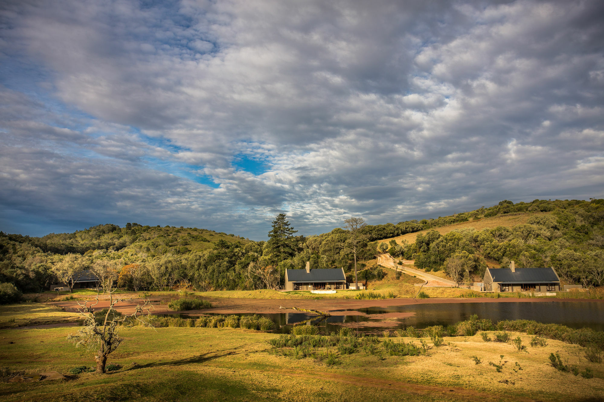 Botlierskop Bush Villas Sandhoogte エクステリア 写真